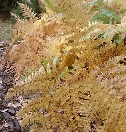 Bed & Breakfast Tia Maria 3*