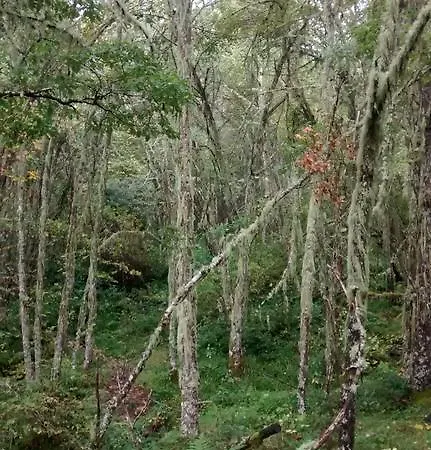 Bed & Breakfast Tia Maria