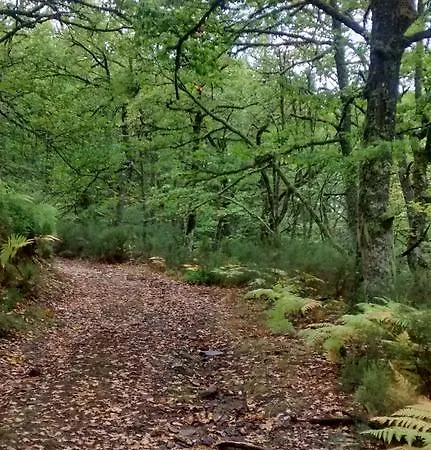 Bed & Breakfast Tia Maria Cerredo