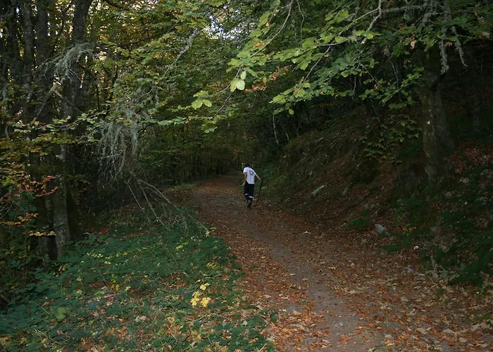 Bed & Breakfast Tia Maria 3*