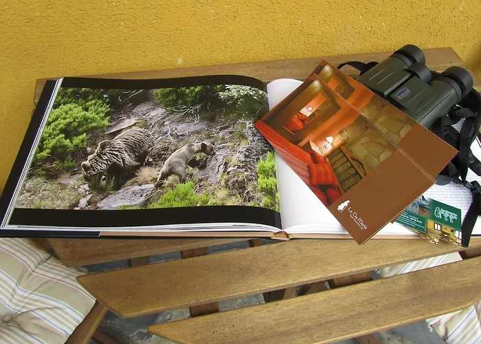 Bed & Breakfast Tia Maria