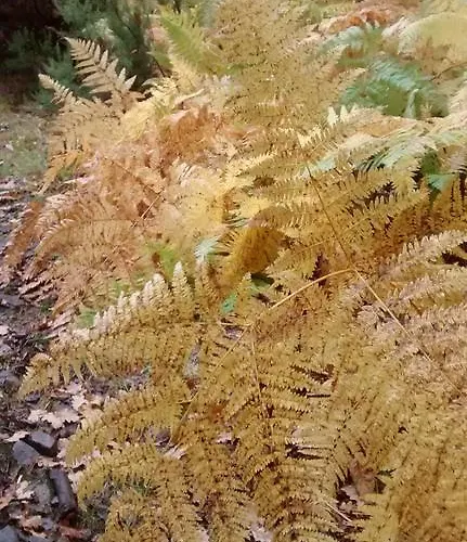 Bed & Breakfast Tia Maria 3*