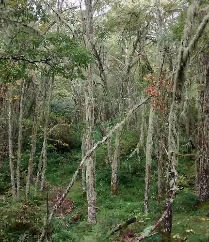 Bed & Breakfast Tia Maria