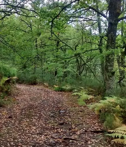 Bed & Breakfast Tia Maria Cerredo